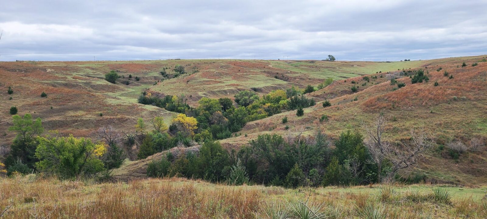 Indianola Red Willow County Land For Sale