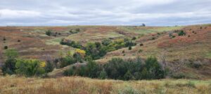 Indianola Red Willow County Land For Sale