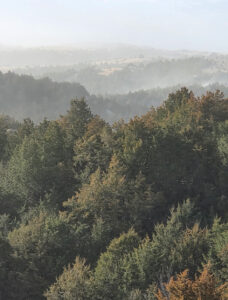 Wellfleet, Nebraska home and acreage for sale country living