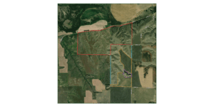 729 Acres, Indianola Grass, Dryland, and Acreage