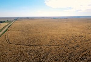 Farm for sale Clay County, NE