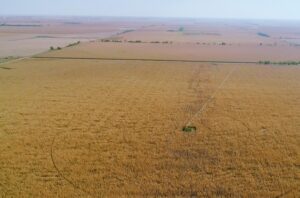 Irrigated Farm for sale Clay County, NE