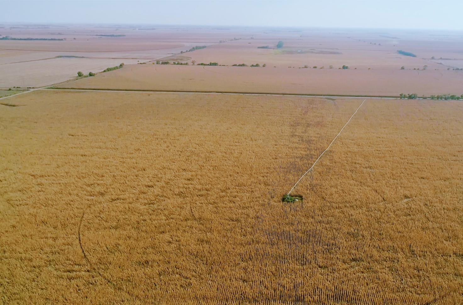 Irrigated Farm for sale Clay County, NE