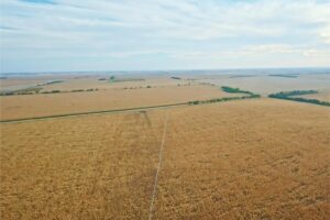 Irrigated Farm for sale Clay County, NE