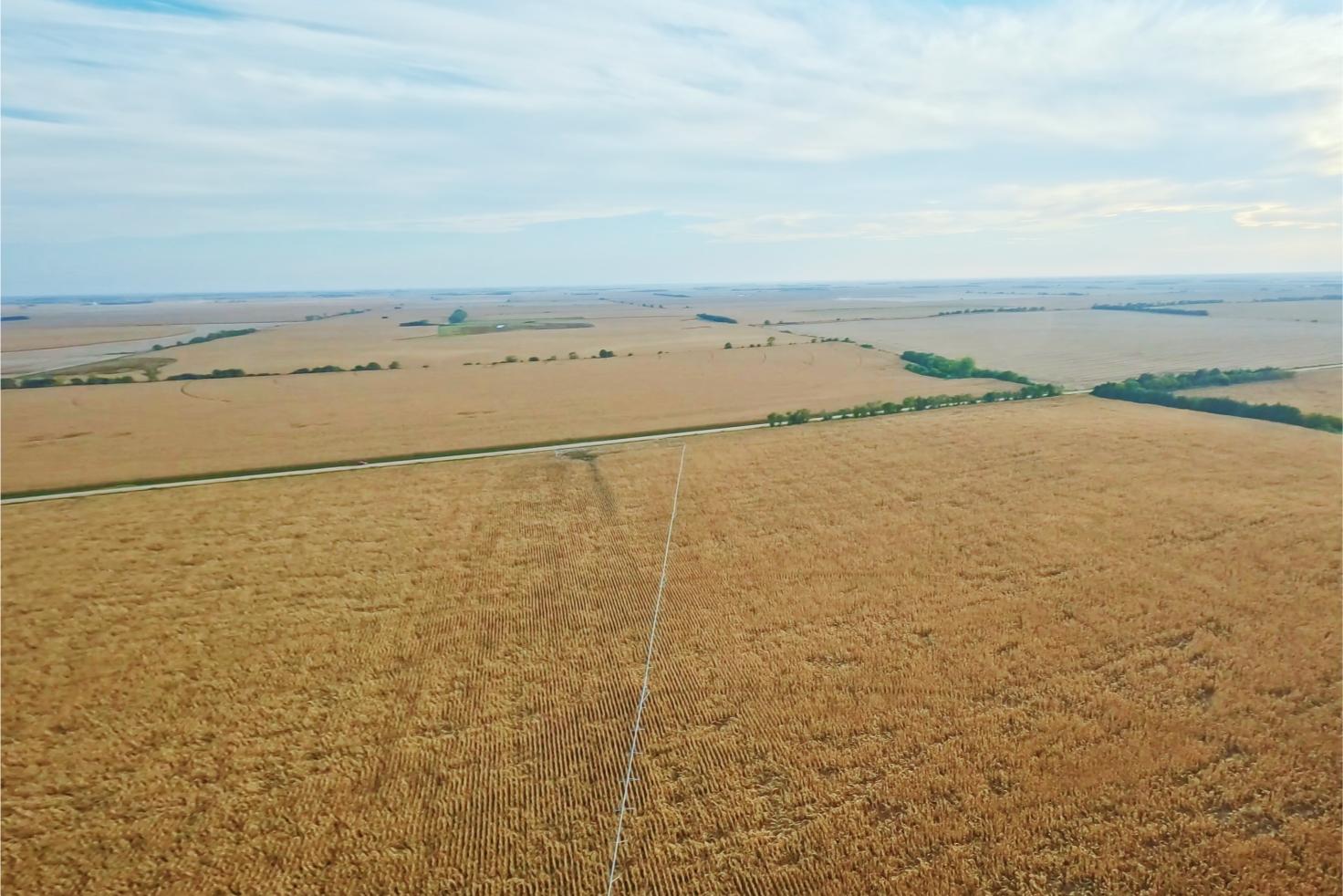 Irrigated Farm for sale Clay County, NE