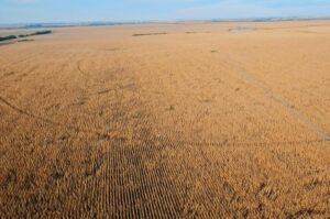 Irrigated Farm for sale Clay County, NE
