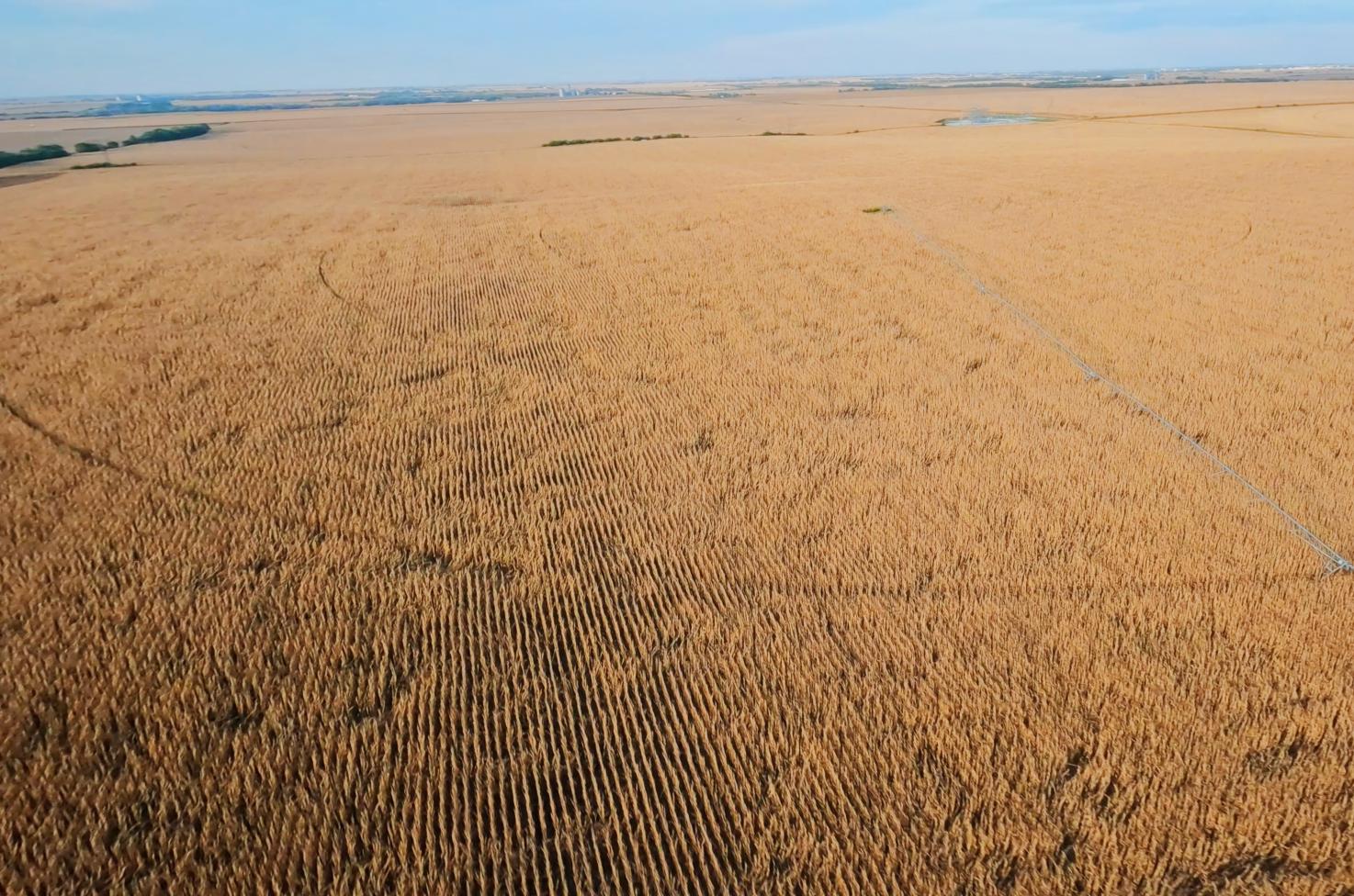 Irrigated Farm for sale Clay County, NE