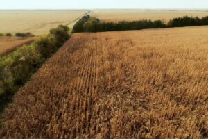 Irrigated Farm for sale Clay County, NE