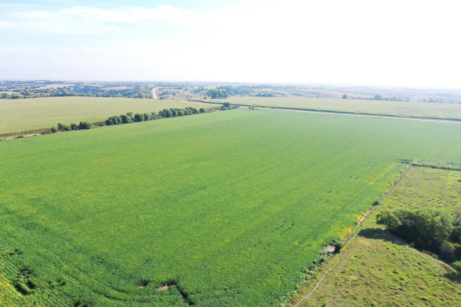Dawson County Nebraska land for sale auction