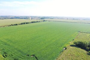Dawson County Nebraska land for sale auction
