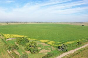 Dawson County Nebraska land for sale auction