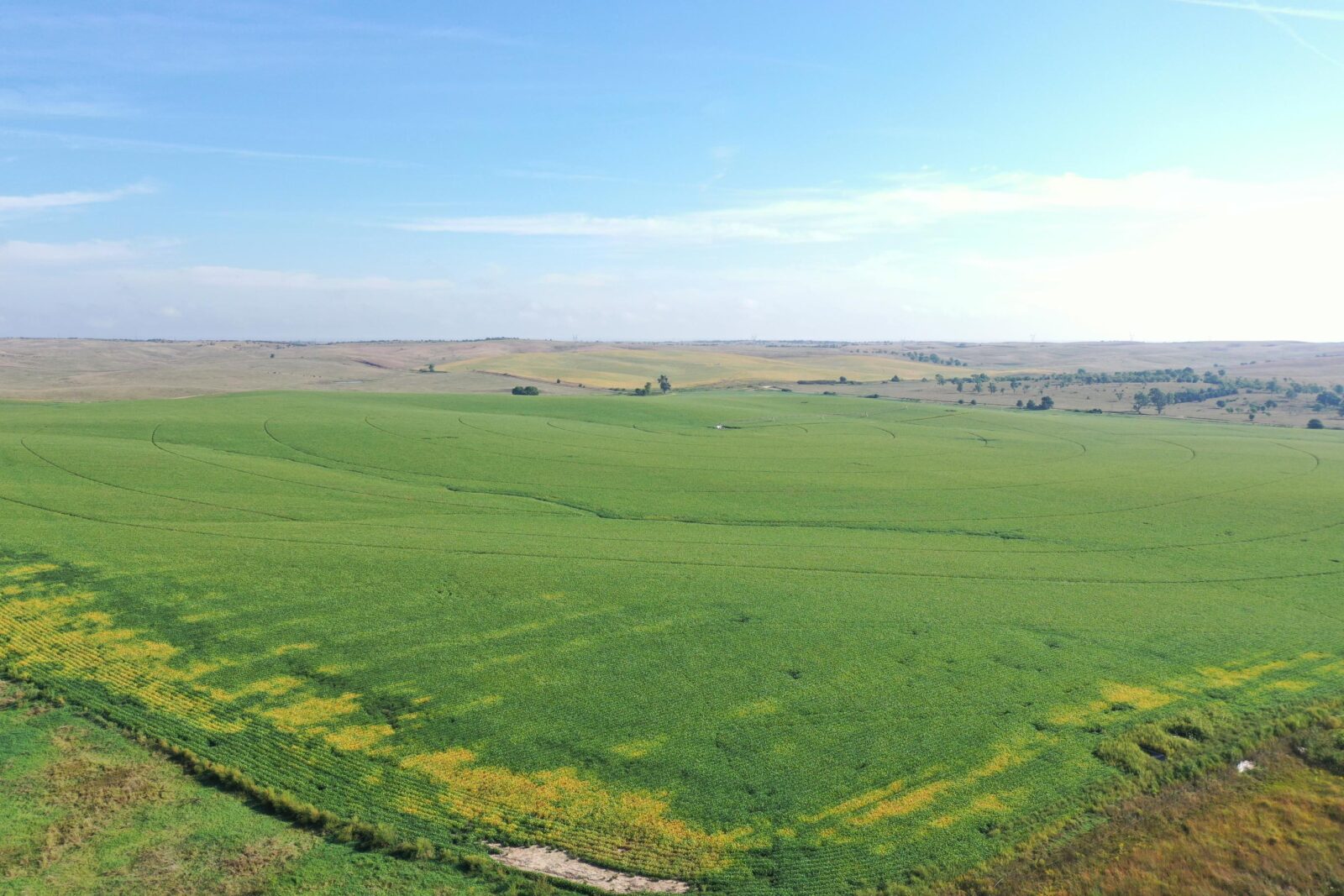 Dawson County Nebraska land for sale auction