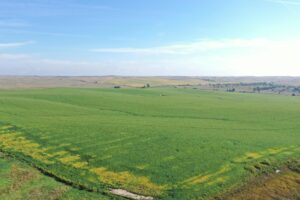 Dawson County Nebraska land for sale auction