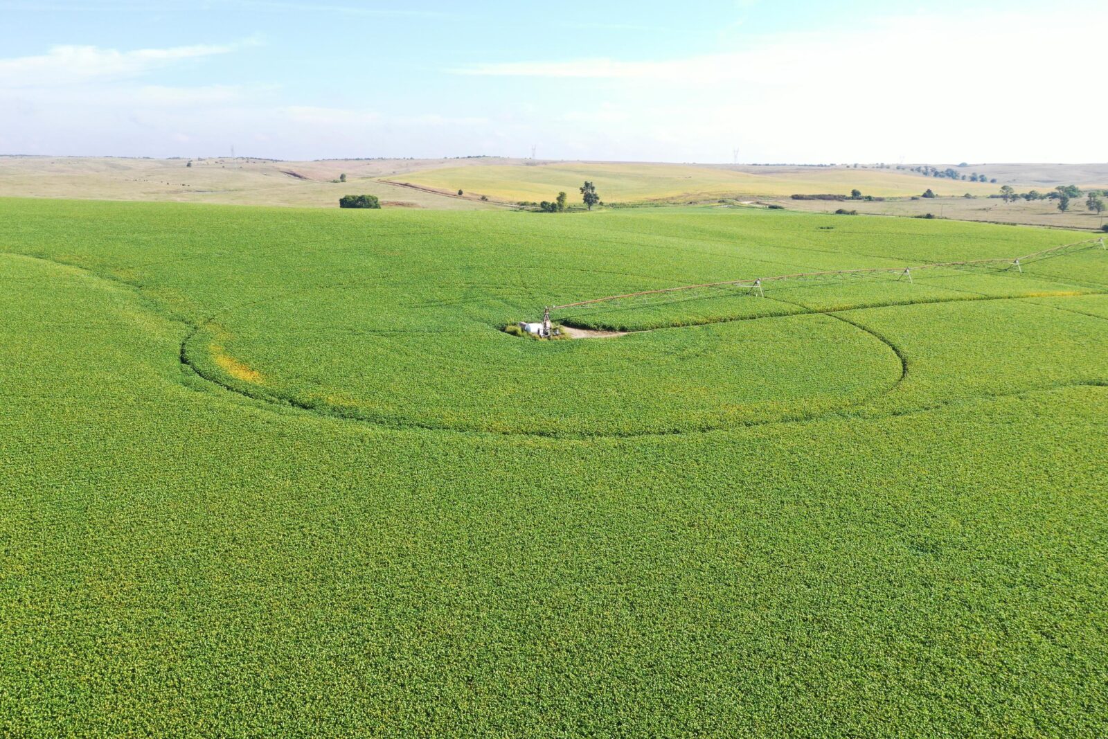 Dawson County Nebraska land for sale auction
