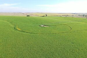 Dawson County Nebraska land for sale auction