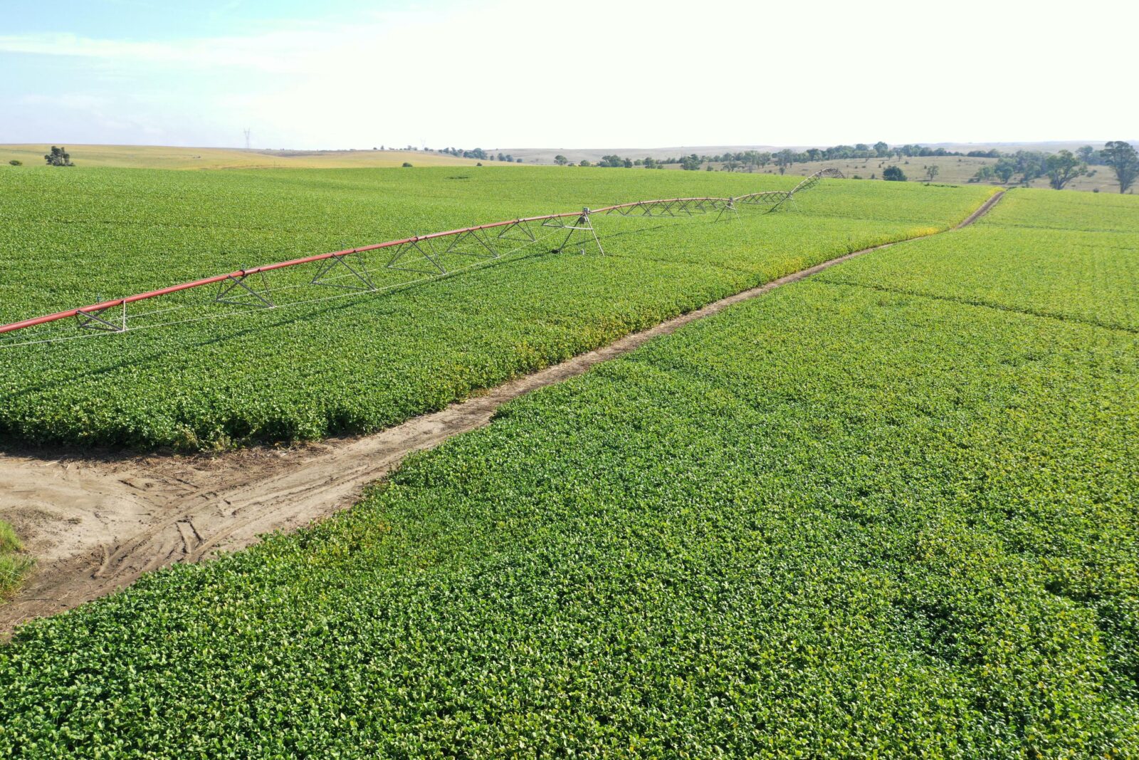 Dawson County Nebraska land for sale auction