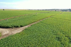 Dawson County Nebraska land for sale auction