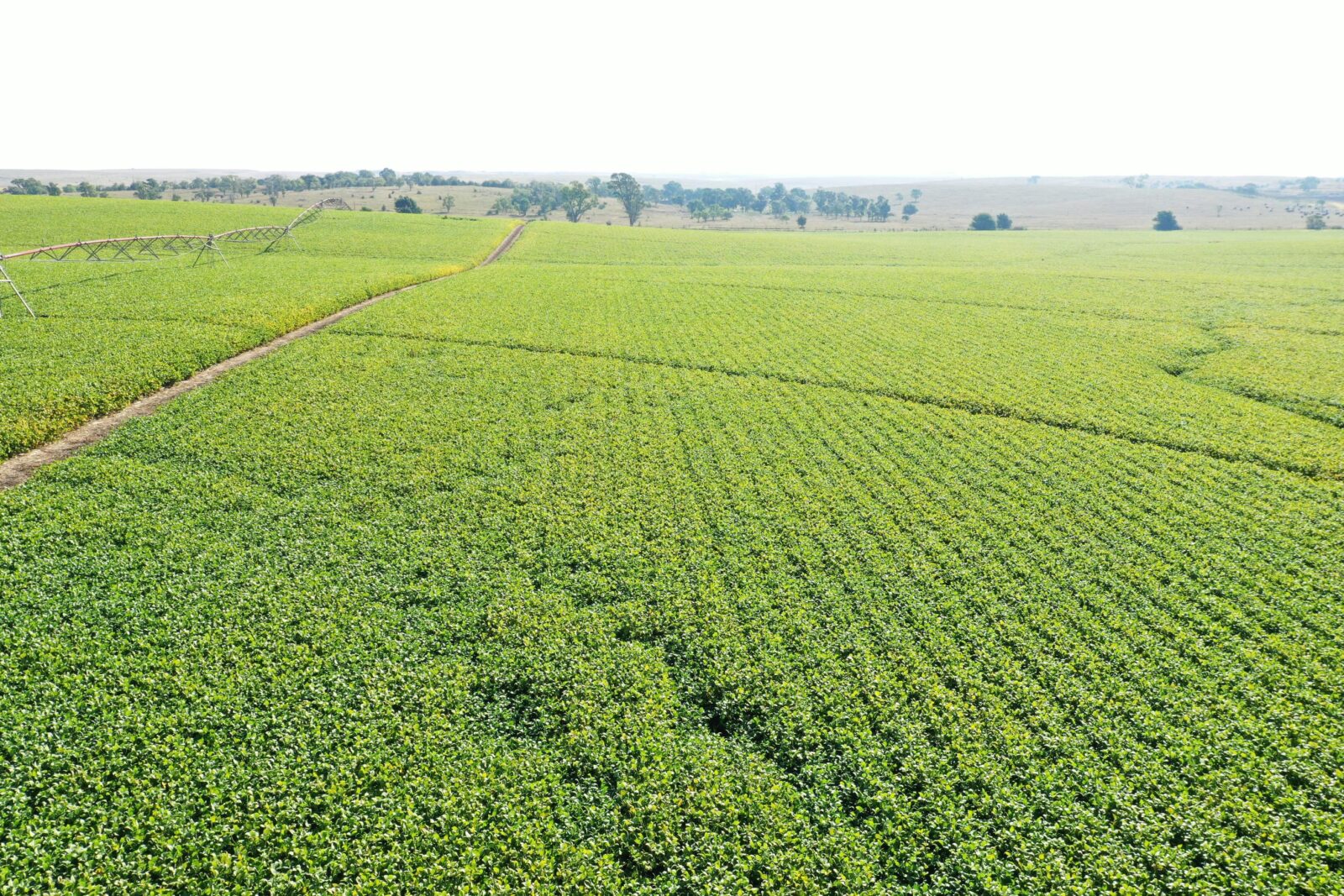 Dawson County Nebraska land for sale auction