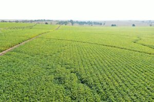 Dawson County Nebraska land for sale auction