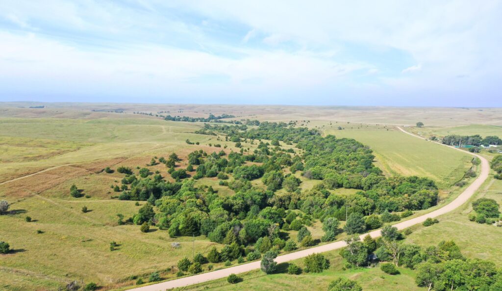 550 Acres, Hollibaugh Farms Absolute Auction  
