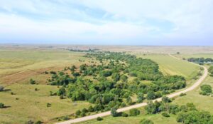 Dawson County Nebraska land for sale auction
