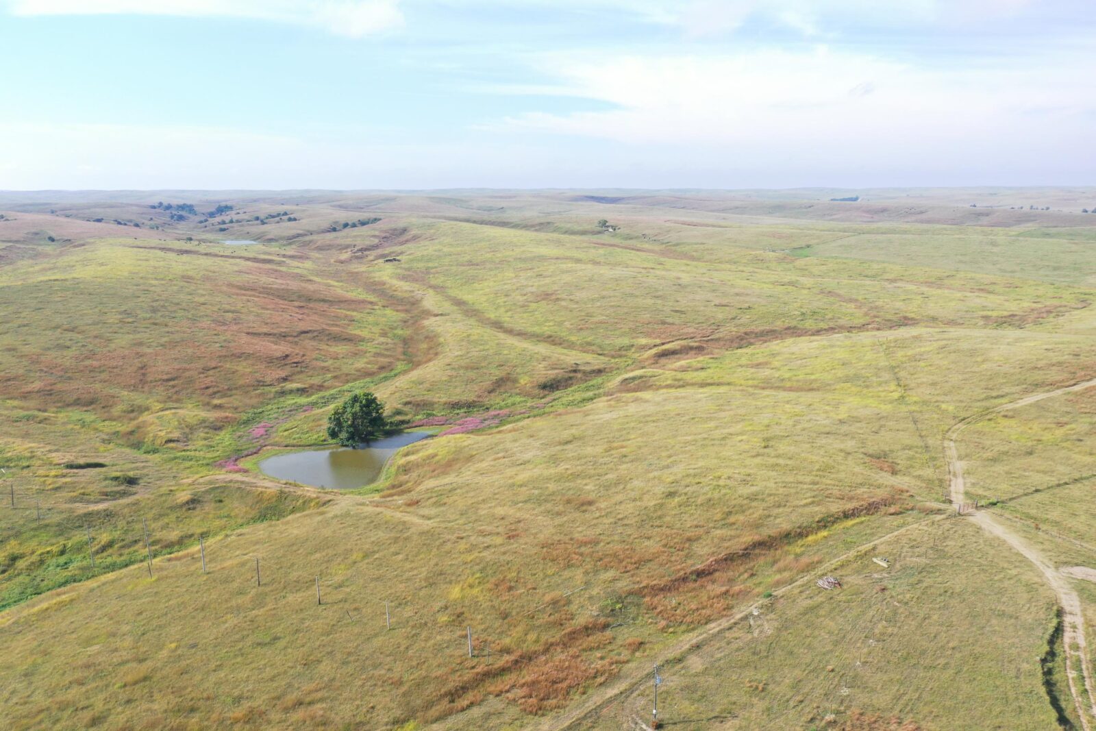 Dawson County Nebraska land for sale auction
