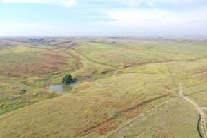 Dawson County Nebraska land for sale auction