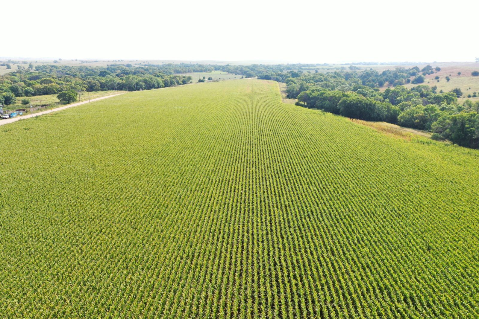 Dawson County Nebraska land for sale auction