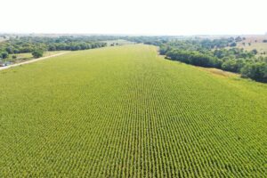 Dawson County Nebraska land for sale auction