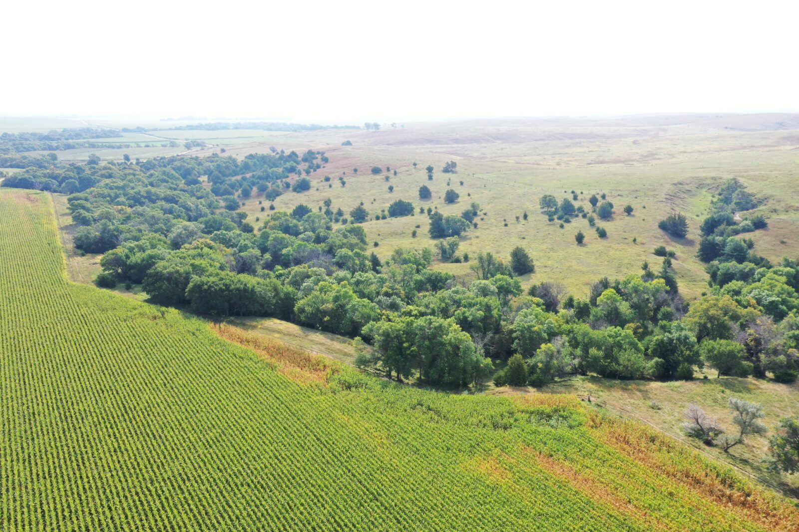Dawson County Nebraska land for sale auction