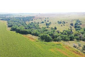Dawson County Nebraska land for sale auction