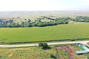 Dawson County Nebraska land for sale auction