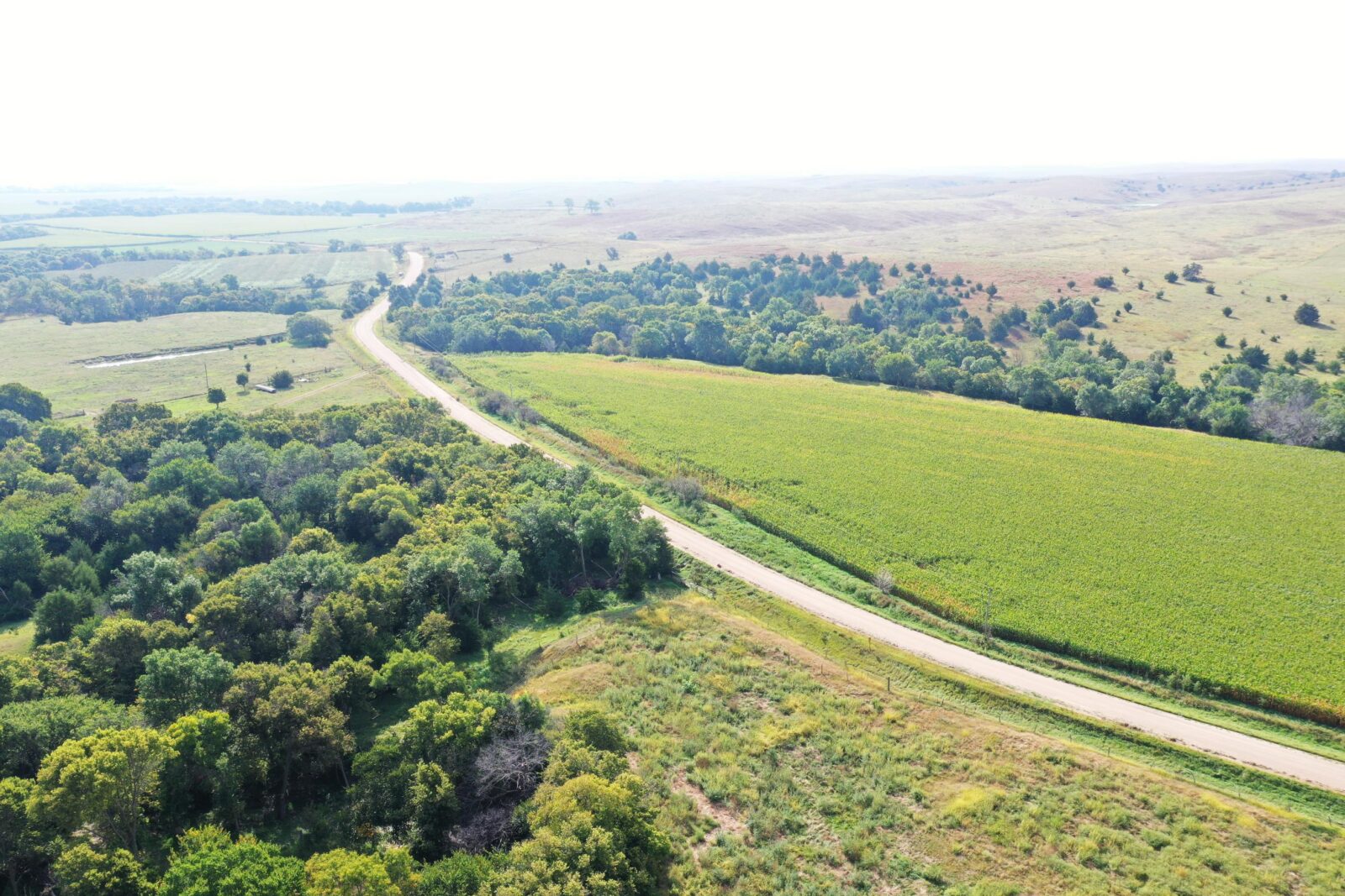 Dawson County Nebraska land for sale auction