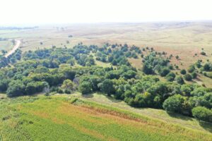 Dawson County Nebraska land for sale auction