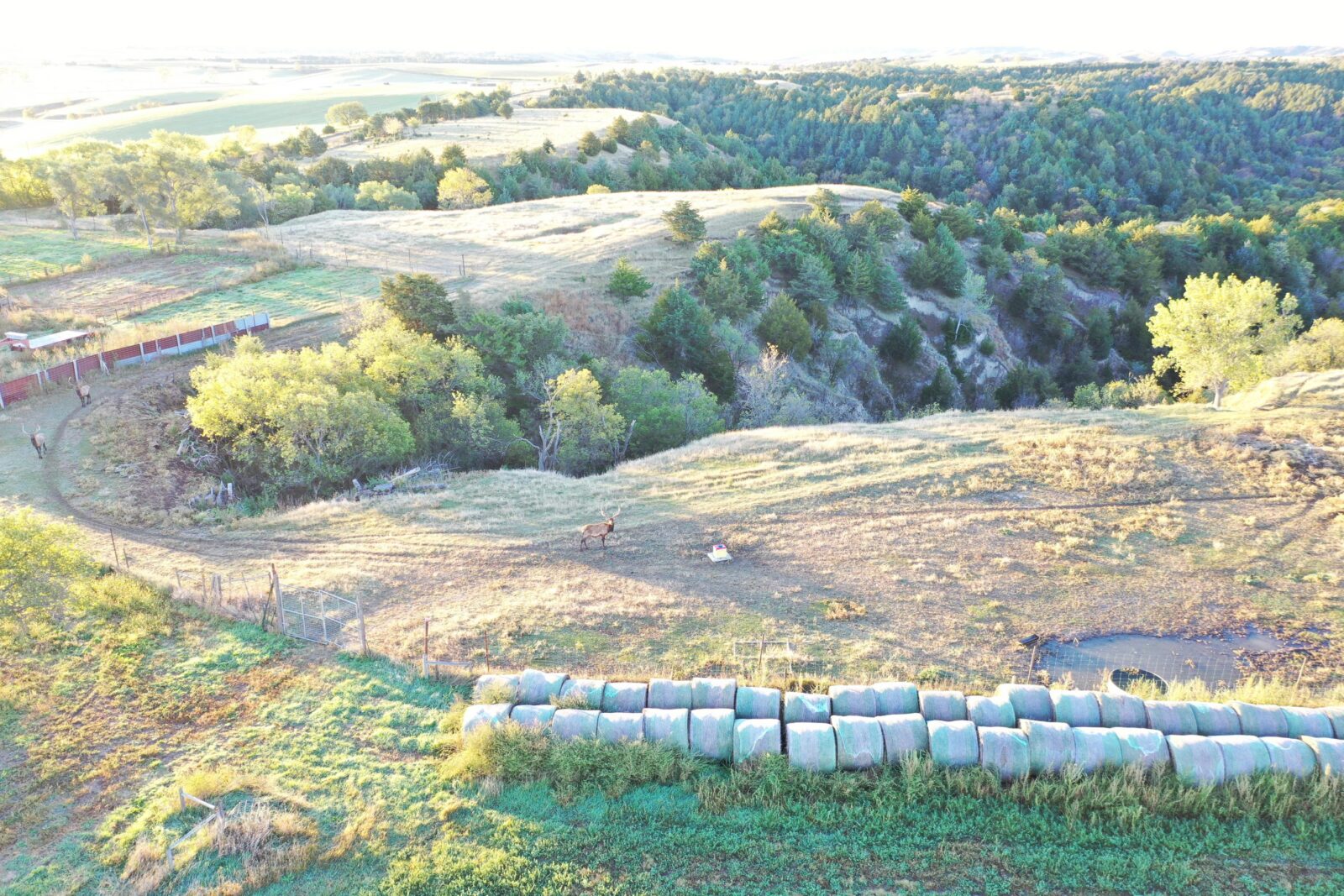 Elk hunting property for sale Custer County, Nebraska