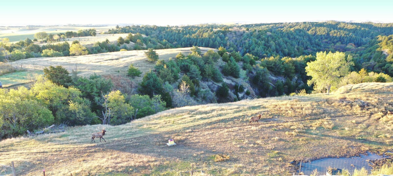 Elk hunting property for sale Custer County, Nebraska