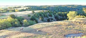 Elk hunting property for sale Custer County, Nebraska