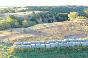 Elk hunting property for sale Custer County, Nebraska