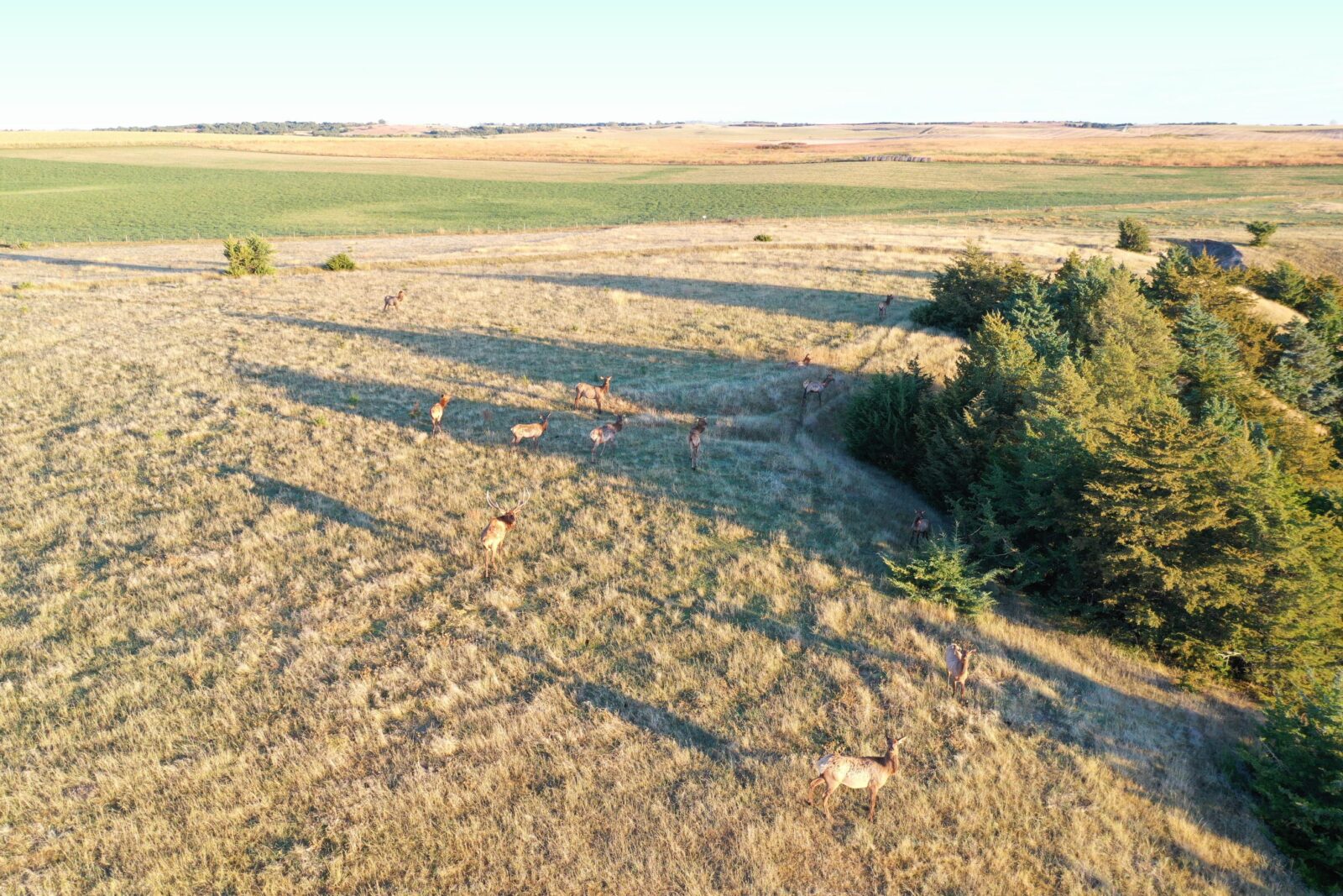 Elk hunting property for sale Custer County, Nebraska