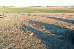 Elk hunting property for sale Custer County, Nebraska