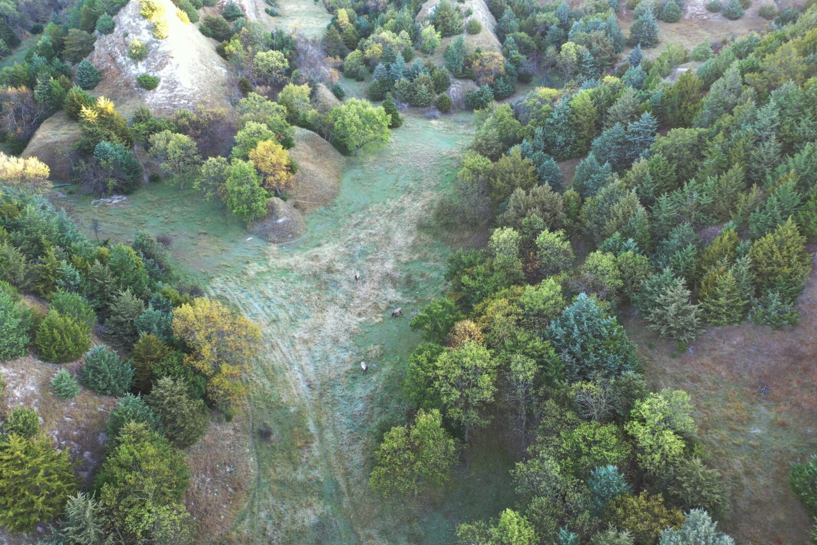 Elk hunting property for sale Custer County, Nebraska