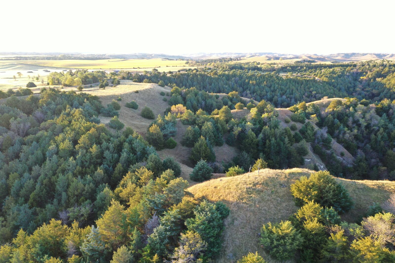 Elk hunting property for sale Custer County, Nebraska