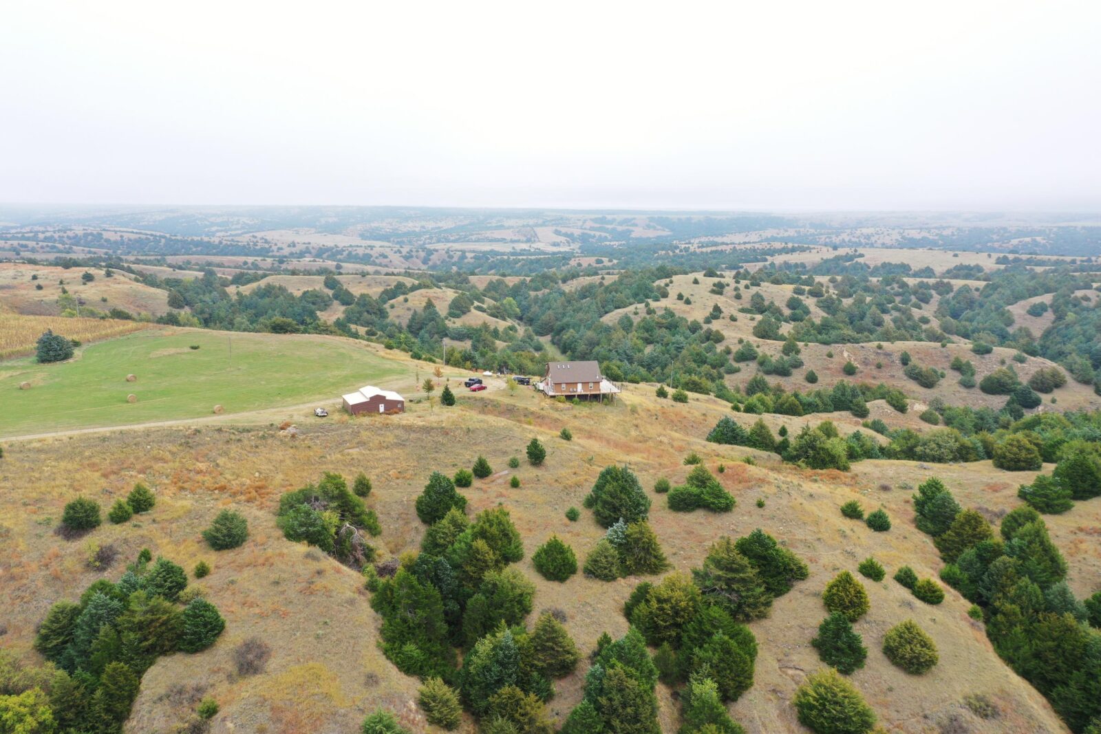 Wellfleet, Nebraska home and acreage for sale country living
