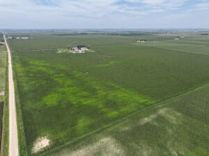 Gothenburg Pivots Estate Planning Sale