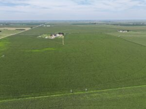 Gothenburg Pivots Estate Planning Sale