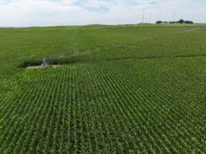 Gothenburg Nebraska farm land for sale
