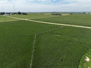 Gothenburg Pivots Estate Planning Sale