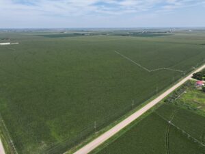 Gothenburg Pivots Estate Planning Sale