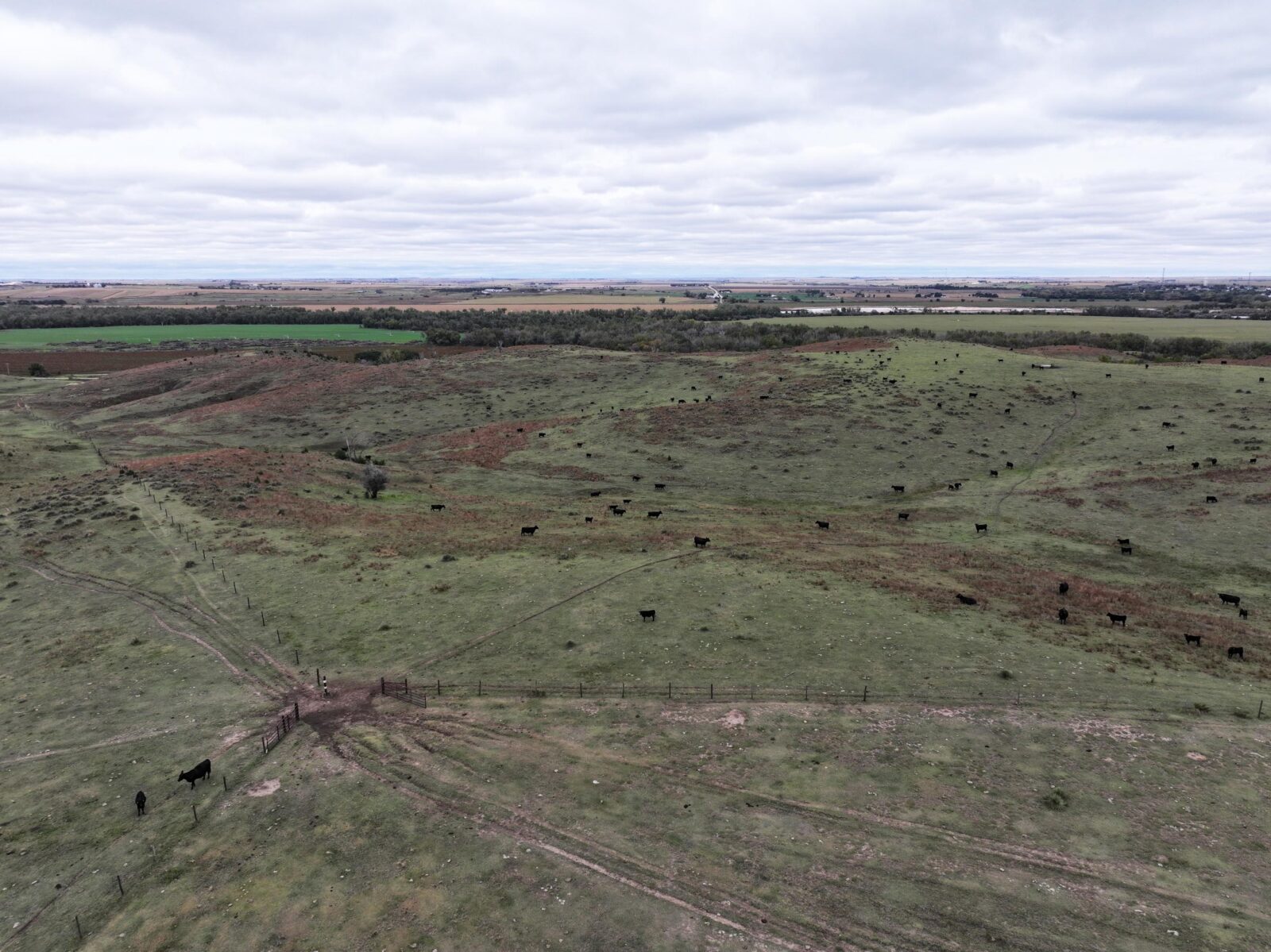 Indianola Red Willow County Land For Sale