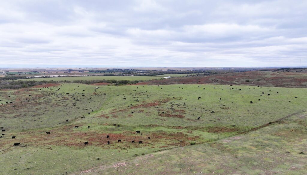 729 Acres, Indianola Grass, Dryland, and Acreage  